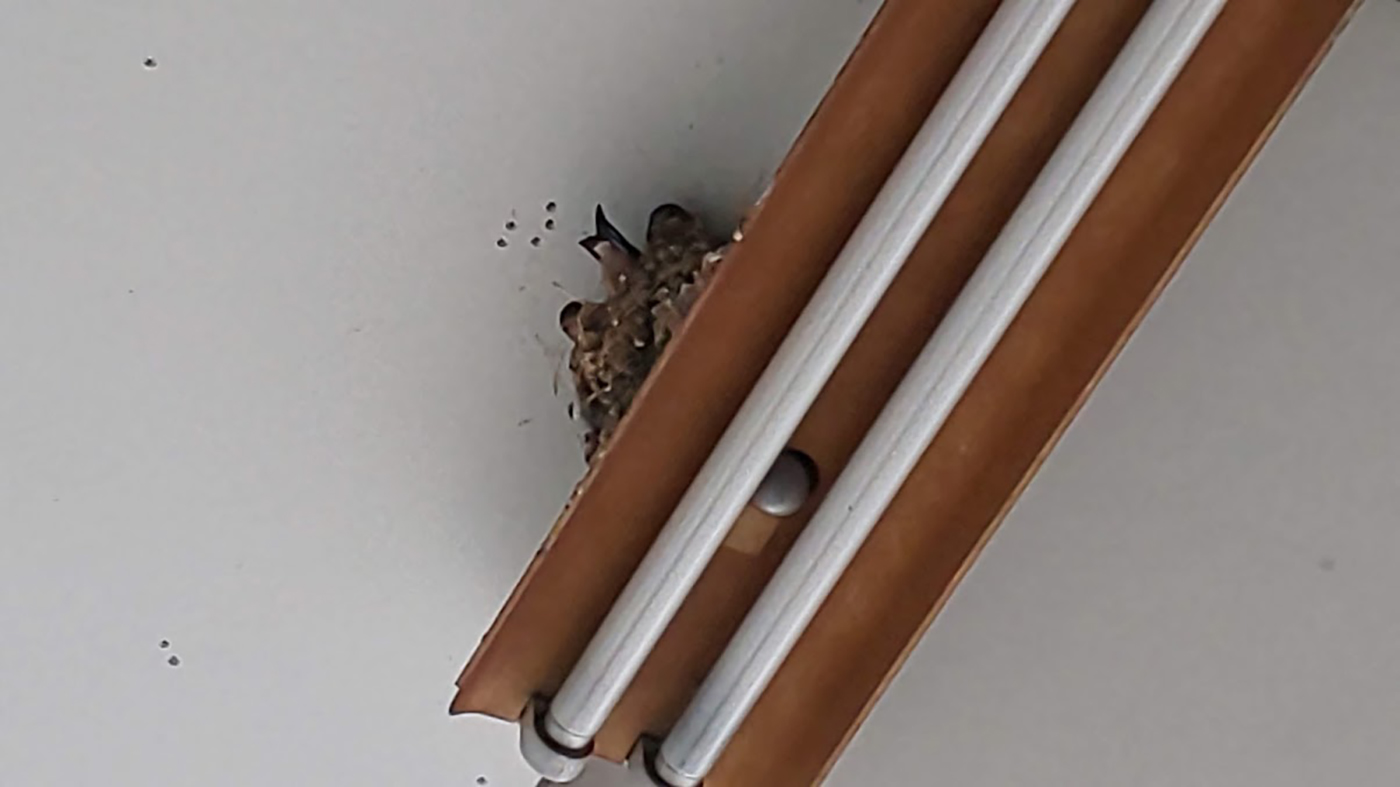 デザイン ラウンジの歴史と活動を振り返ってきた
